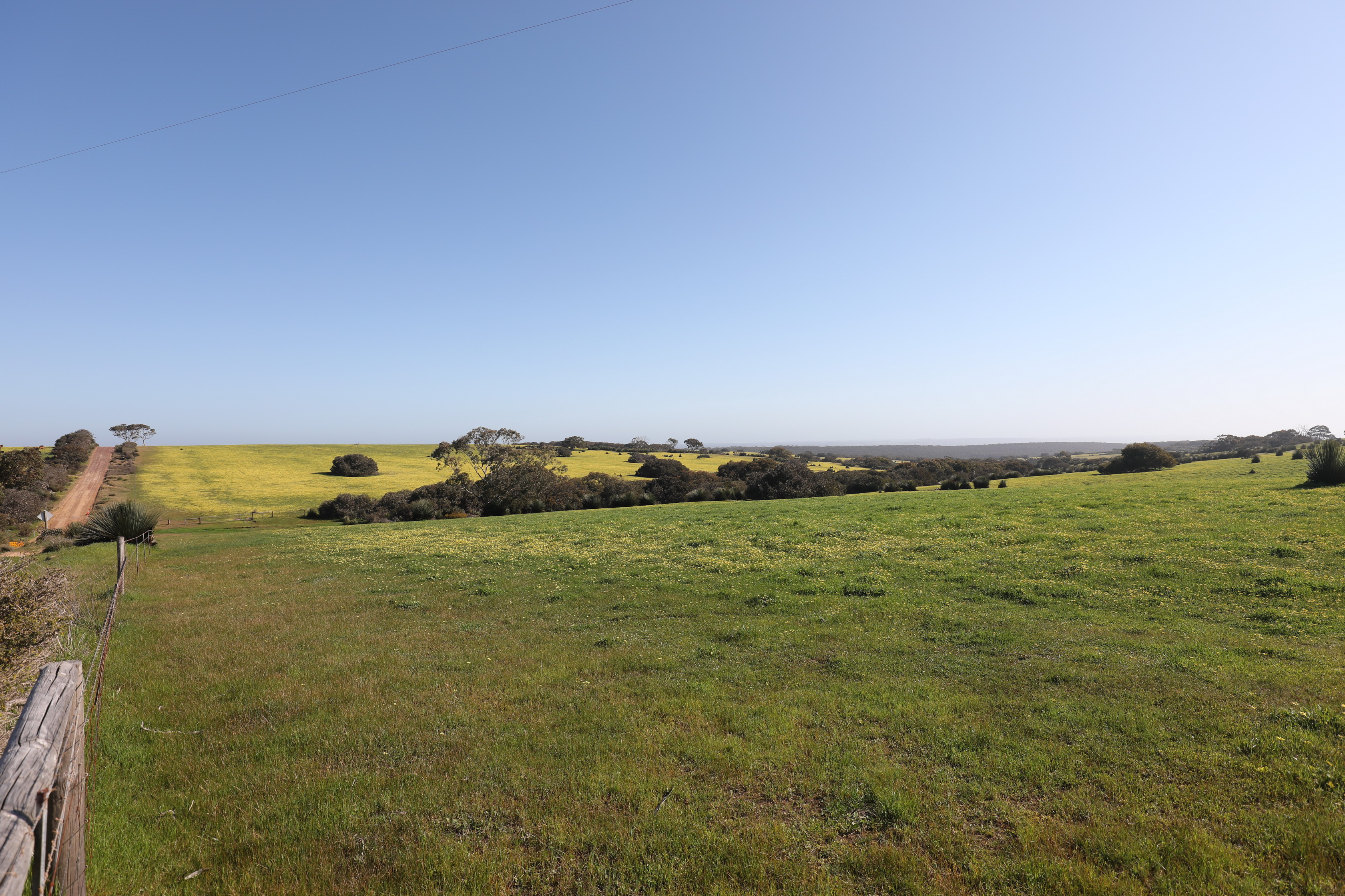 2019 10 02 15 38 28 Canon EOS 5D Mark IV 0033